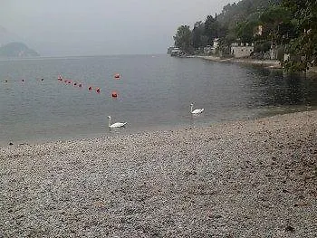 Le Ortensie -lago Di Hotel 3*