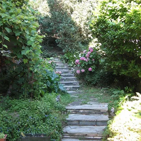 Hotel Le Ortensie -lago Di Lierna